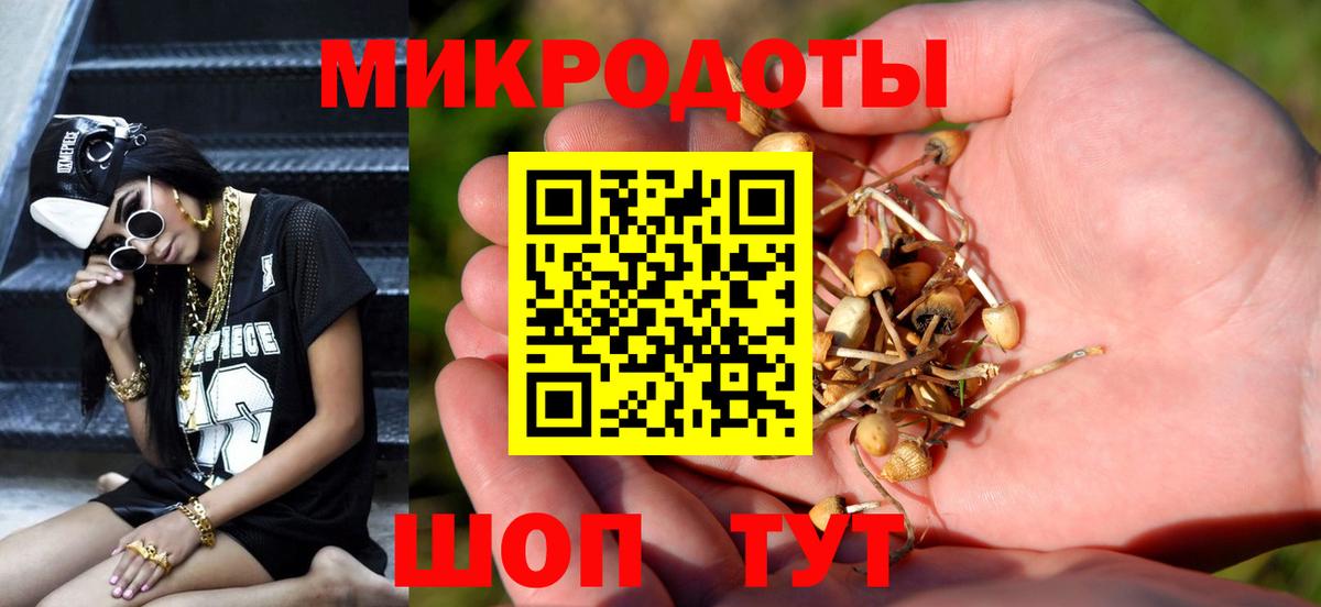 Галлюциногенные грибы прущие грибы  Вход с VPN  Менделеевск 