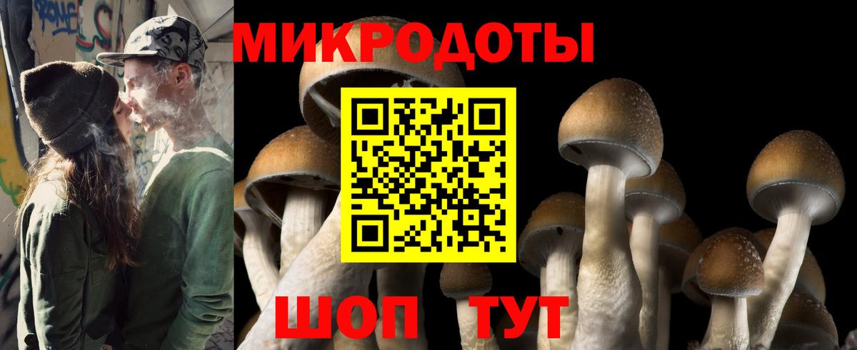 Псилоцибиновые грибы мицелий Менделеевск